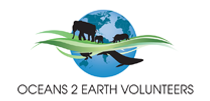 oceans 2 earth foundation